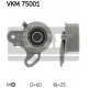 VKM 75001