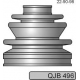 QJB496
