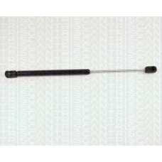 8710 24216 TRIDON Gas spring rear