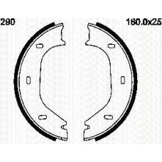 8100 10290 TRIDON Brake shoes hand brake