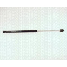 8710 2430 TRIDON Gas spring rear