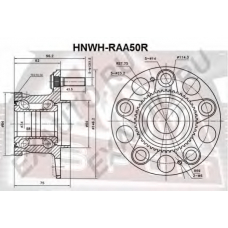 HNWH-RAA50R ASVA Ступица колеса