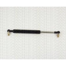 8710 14215 TRIDON Gas spring rear