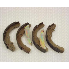 8100 67631 TRIDON Brake shoes