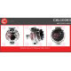 CAL10343<br />CASCO