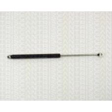 8710 11202 TRIDON Gas spring rear