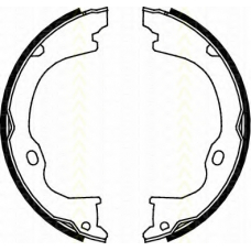 8100 80011 TRISCAN Комплект тормозных колодок, стояночная тормозная с