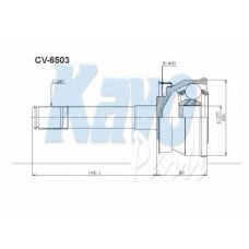 CV-6503 KAVO PARTS Шарнирный комплект, приводной вал