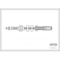 19018561 CORTECO Тормозной шланг