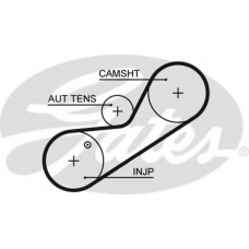 5546XS GATES Ремень ГРМ