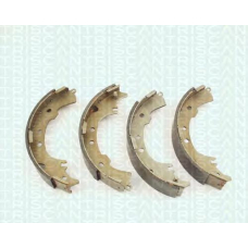 8100 13601 TRIDON Brake shoes