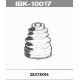 IBK-10017