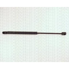 8710 29224 TRIDON Gas spring rear