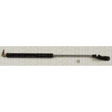 8710 13249 TRIDON Gas spring rear