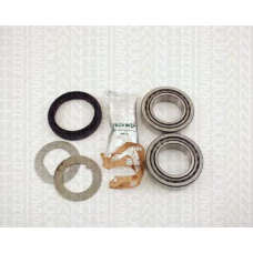 8530 17004 TRIDON Wheel bearing kit