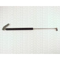 8710 50212 TRIDON Gas spring rear