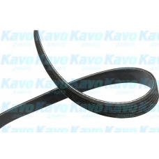 DMV-3040 KAVO PARTS Поликлиновой ремень