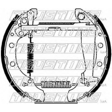 6417 TRUSTING Комплект тормозных колодок