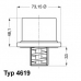 4619.75 WAHLER Термостат, охлаждающая жидкость