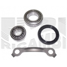 RC6749 CALIBER Комплект подшипника ступицы колеса