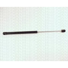 8710 29227 TRIDON Gas spring rear