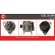 CAL10394<br />CASCO