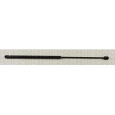 8710 29243 TRIDON Gas spring rear