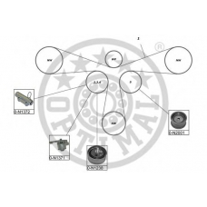 SK-1636 OPTIMAL Комплект ремня грм