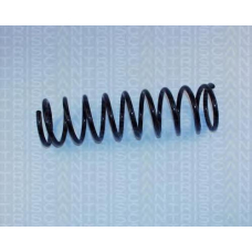 8750 1638 TRIDON Coil spring rear