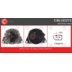 CAL10271<br />CASCO