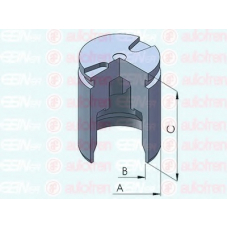 D025281 AUTOFREN SEINSA Поршень, корпус скобы тормоза