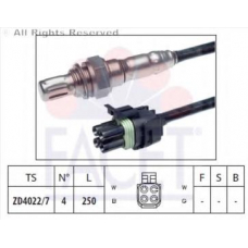 10.7271 FACET Лямбда-зонд