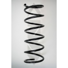 55910 SPIDAN Пружина ходовой части