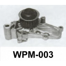WPM-003 ASCO Водяной насос