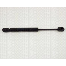 8710 24102 TRIDON Gas spring front