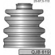 QJB619