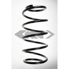 48216 SPIDAN Пружина ходовой части