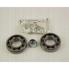 8530 25101 TRIDON Wheel bearing kit