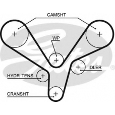 5636XS GATES Ремень ГРМ