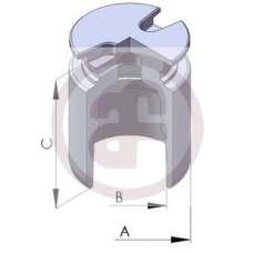 D025102 AUTOFREN SEINSA Поршень, корпус скобы тормоза