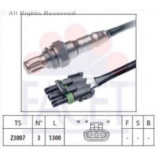10.7076 FACET Лямбда-зонд
