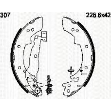 8100 10307 TRIDON Brake shoes