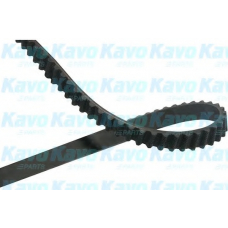 DTB-5552 KAVO PARTS Ремень ГРМ