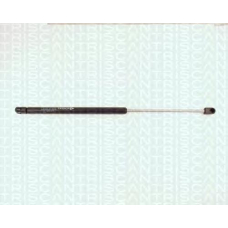 8710 1606 TRIDON Gas spring rear