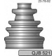 QJB521