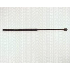 8710 65101 TRIDON Gas spring front