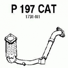 P197CAT FENNO Катализатор