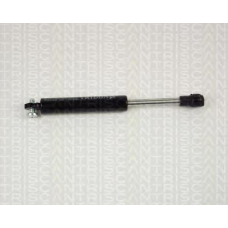 8710 25212 TRIDON Gas spring rear