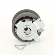 GT257 PROCODIS FRANCE Натяжной ролик, ремень ГРМ