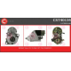 CST40134<br />CASCO